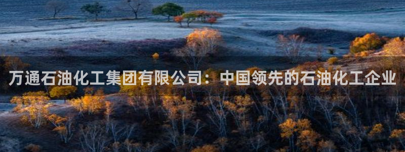 球盟会进不去：万通石油化工集团有限公司：中国领先的石油化工企