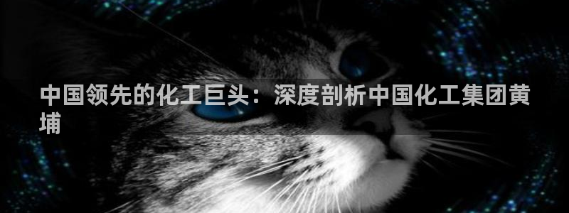 球盟会和中欧：中国领先的化工巨头：深度剖析中国化工集团黄
埔