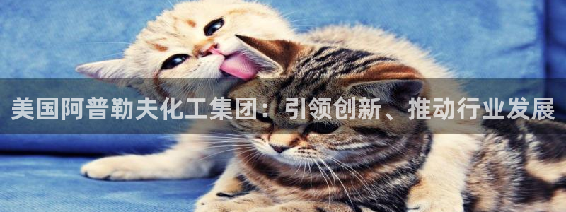 球盟会体育app官方网站：美国阿普勒夫化工集团：引领创新、推