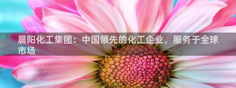 球盟会福利码2023最简单三个步骤：晨阳化工集团：中国领先的
