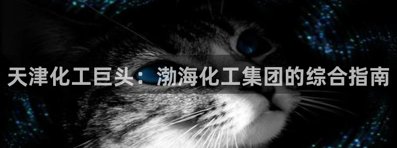 球盟会官方：天津化工巨头：渤海化工集团的综合指南