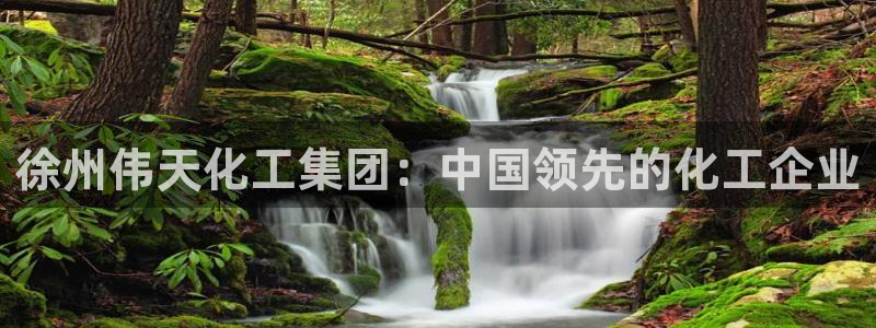 球盟会国际官网：徐州伟天化工集团：中国领先的化工企业