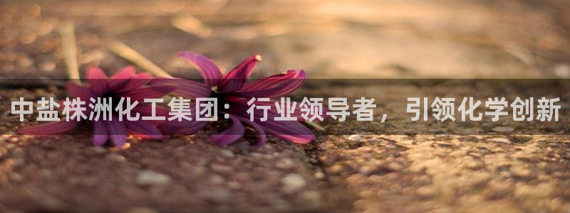 球盟会qmh网页版登录 - qm球盟会官方网站：中盐株洲化工