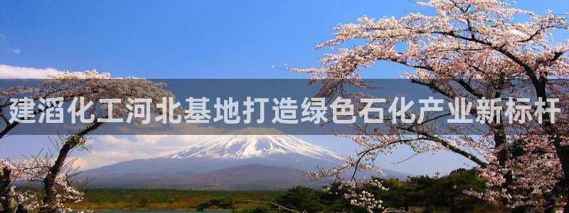 球盟会qm9：建滔化工河北基地打造绿色石化产业新标杆