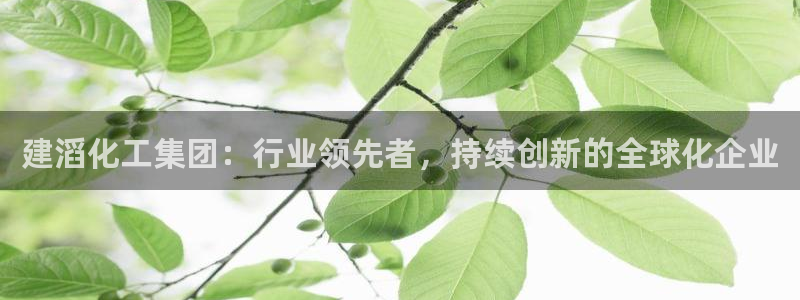 球盟会进不去球员吗：建滔化工集团：行业领先者，持续创新的全球