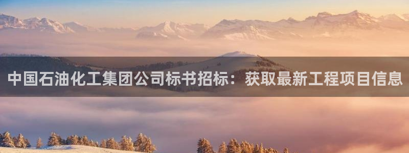 球盟会黑款吗是真的吗：中国石油化工集团公司标书招标：获取最新