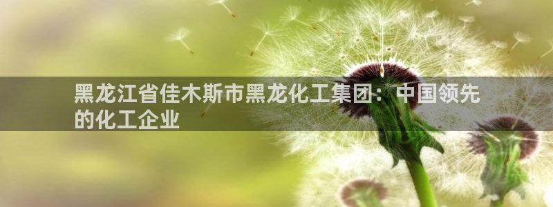 球盟会官网app下载：黑龙江省佳木斯市黑龙化工集团：中国领先