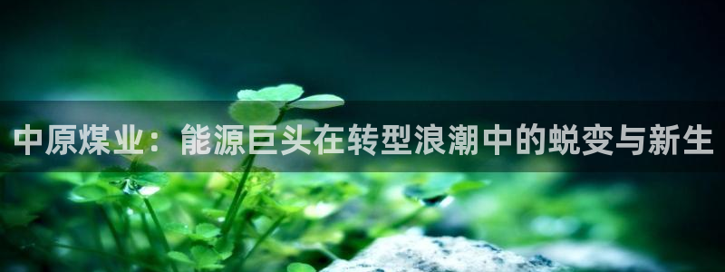 球盟会网页登录app下载地址：中原煤业：能源巨头在转型浪潮中