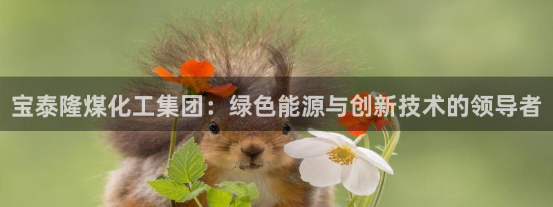 球盟会优惠领取网站是真的吗：宝泰隆煤化工集团：绿色能源与创新