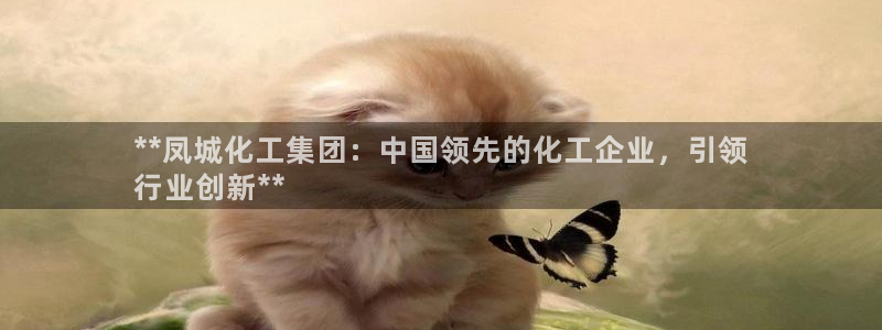 球盟会官方网址入口：**凤城化工集团：中国领先的化工企业，引