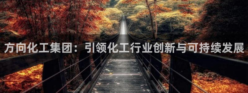 球盟会平台怎么样：方向化工集团：引领化工行业创新与可持续发展