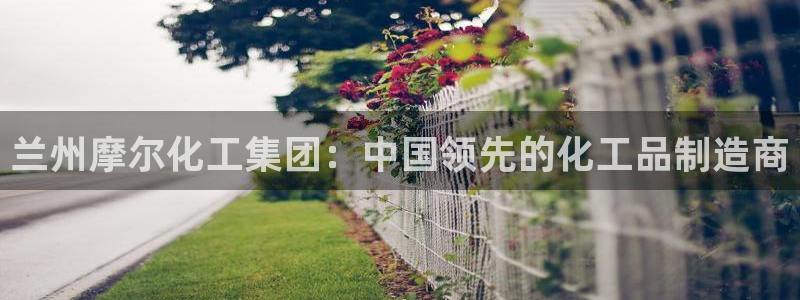 球盟会登录平台入口：兰州摩尔化工集团：中国领先的化工品制造商