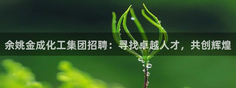 球盟会登陆入口：余姚金成化工集团招聘：寻找卓越人才，共创辉煌