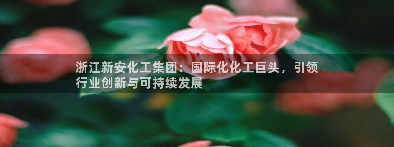球盟会下款快吗：浙江新安化工集团：国际化化工巨头，引领
行业