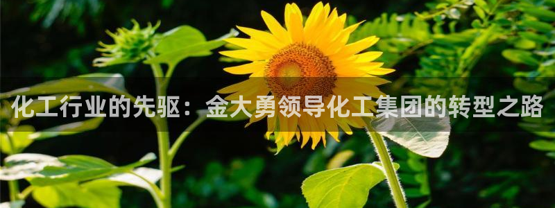 球盟会APP官网：化工行业的先驱：金大勇领导化工集团的转型之