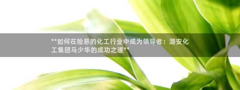 球盟会能退钱吗知乎：**如何在险恶的化工行业中成为领导者：潞