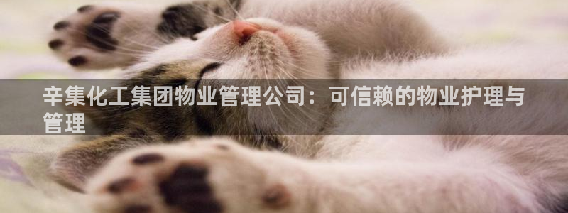 球盟会qm9：辛集化工集团物业管理公司：可信赖的物业护理与
