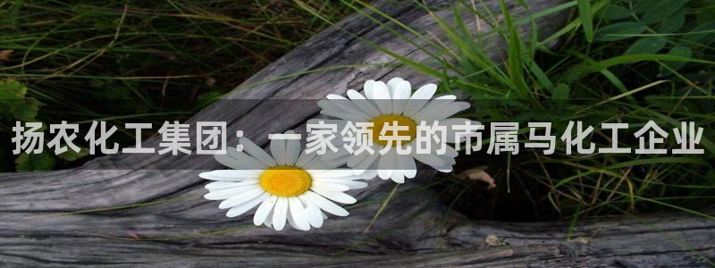 球盟会进不去球员吗：扬农化工集团：一家领先的市属马化工企业