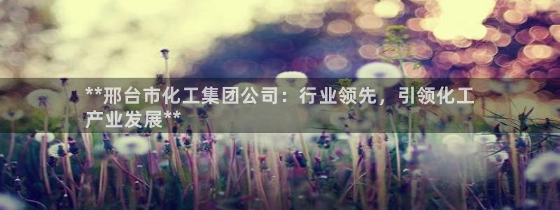 球盟会APP官网：**邢台市化工集团公司：行业领先，引领化工