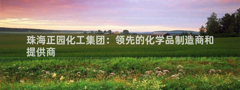 球盟会qm9：珠海正园化工集团：领先的化学品制造商和
提供商