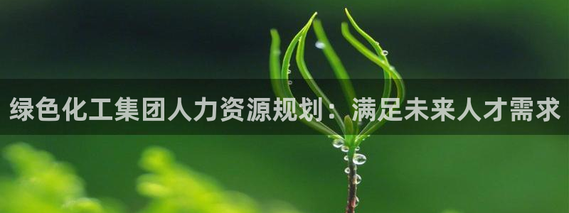 球盟会登录平台：绿色化工集团人力资源规划：满足未来人才需求