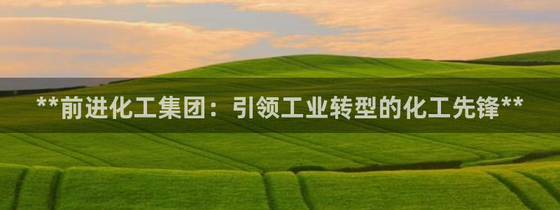 球盟会app最新地址下载：**前进化工集团：引领工业转型的化