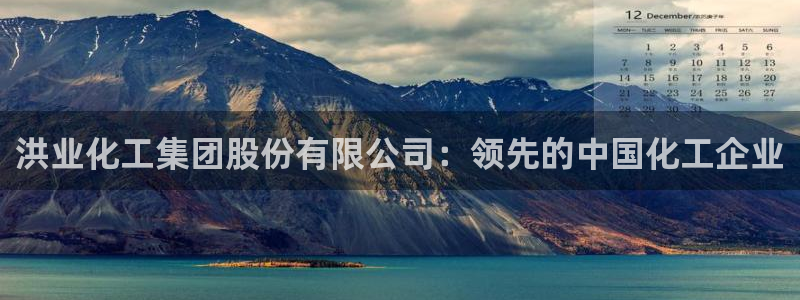 球盟会网页版：洪业化工集团股份有限公司：领先的中国化工企业