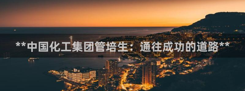 球盟会地址：**中国化工集团管培生：通往成功的道路**