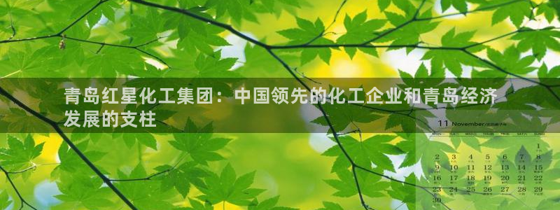 球盟会黑平台：青岛红星化工集团：中国领先的化工企业和青岛经济