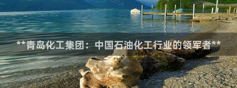 球盟会官方