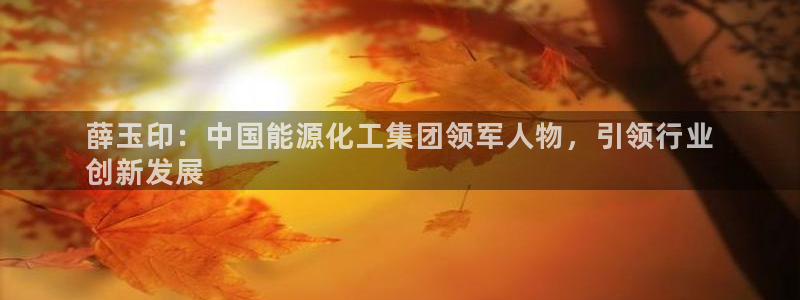球盟会可以提现么现在