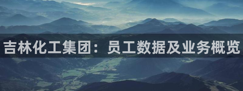 球盟会黑款吗：吉林化工集团：员工数据及业务概览