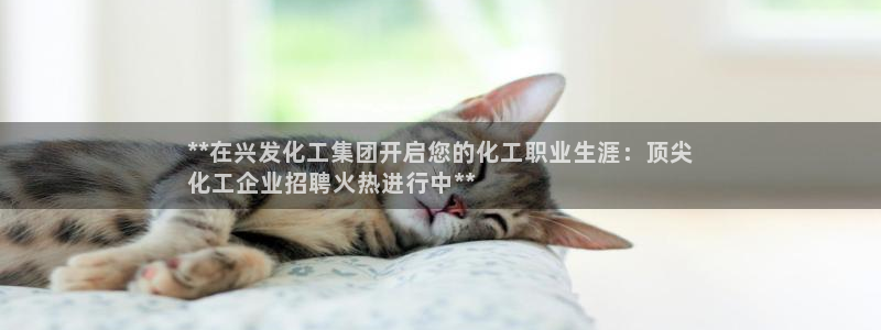 球盟会app最新地址下载：**在兴发化工集团开启您的化工职业