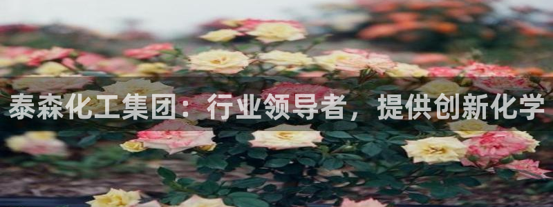 球盟会综合体育平台：泰森化工集团：行业领导者，提供创新化学