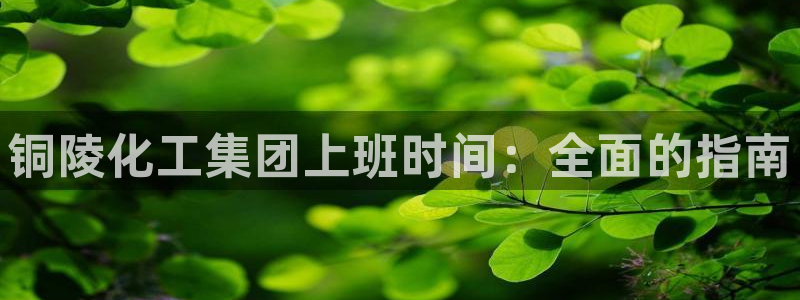 球盟会邮箱：铜陵化工集团上班时间：全面的指南