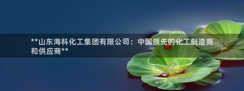 球盟会能退钱吗：**山东海科化工集团有限公司：中国领先的化工