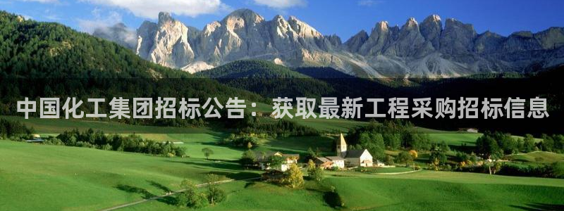 球盟会qm8597：中国化工集团招标公告：获取最新工程采购招