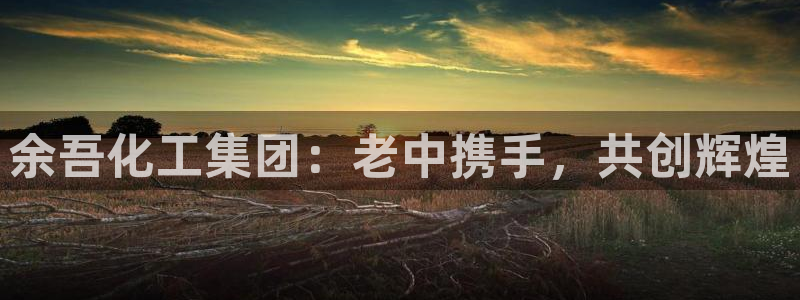 球盟会可靠不