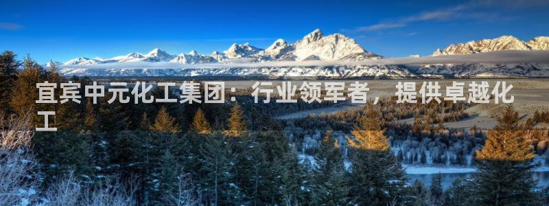 球盟会和中欧合作吗：宜宾中元化工集团：行业领军者，提供卓越化