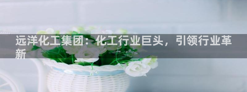 球盟会网址多少