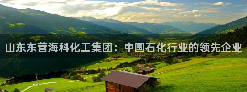 球盟会官方客服：山东东营海科化工集团：中国石化行业的领先企业