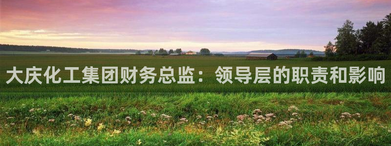 球盟会综合体育平台怎么样：大庆化工集团财务总监：领导层的职责