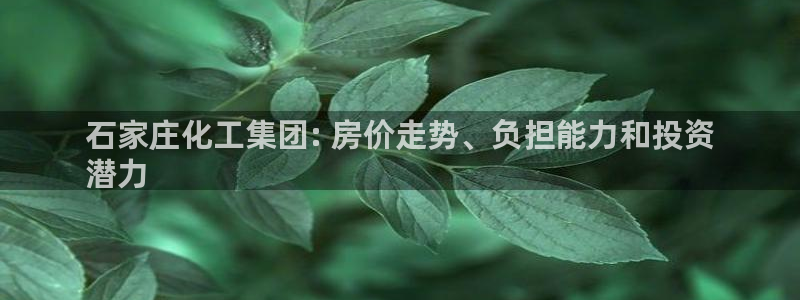 球盟会能退钱吗现在：石家庄化工集团: 房价走势、负担能力和投