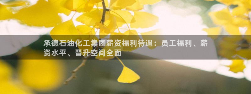 球盟会网页登录app下载地址：承德石油化工集团薪资福利待遇：