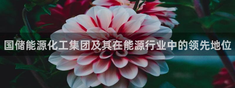 球盟会可以提现么：国储能源化工集团及其在能源行业中的领先地位