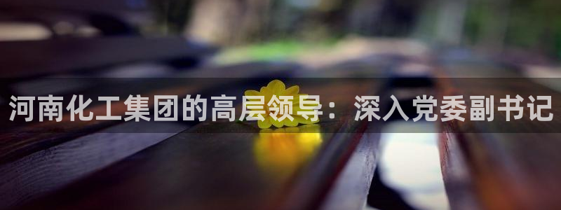 球盟会体验金：河南化工集团的高层领导：深入党委副书记