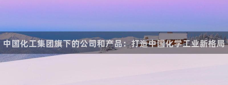 球盟会封禁：中国化工集团旗下的公司和产品：打造中国化学工业新