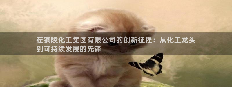 球盟会和中欧会的区别：在铜陵化工集团有限公司的创新征程：从化