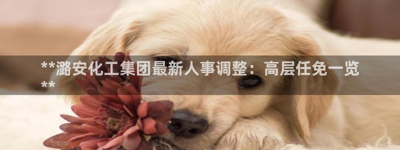 球盟会综合app下载：**潞安化工集团最新人事调整：高层任免