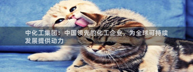 球盟会电子：中化工集团：中国领先的化工企业，为全球可持续
发